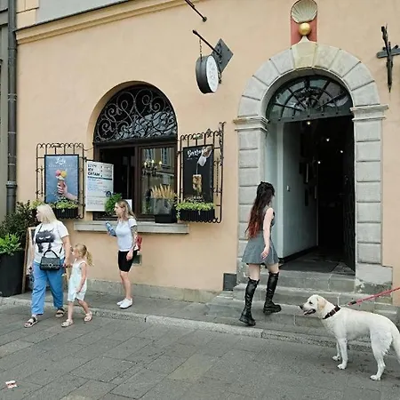 Apartament Chic Apartment-old Town-s9 *